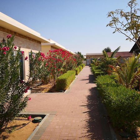 Almorouj Farm Inn - Badīyah Exterior foto